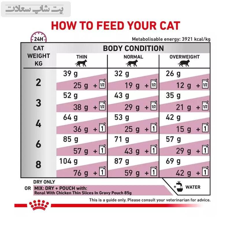 غذای خشک گربه مخصوص مشکلات کلیوی رنال رویال کنین Royal Canin Renal وزن 2 کیلوگرم — تصویر ۴