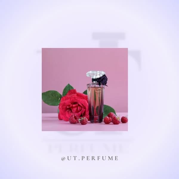 عطر لانکوم ترزور میدنایت رز – Lancome Tresor Midnight Rose زنانه — تصویر ۷