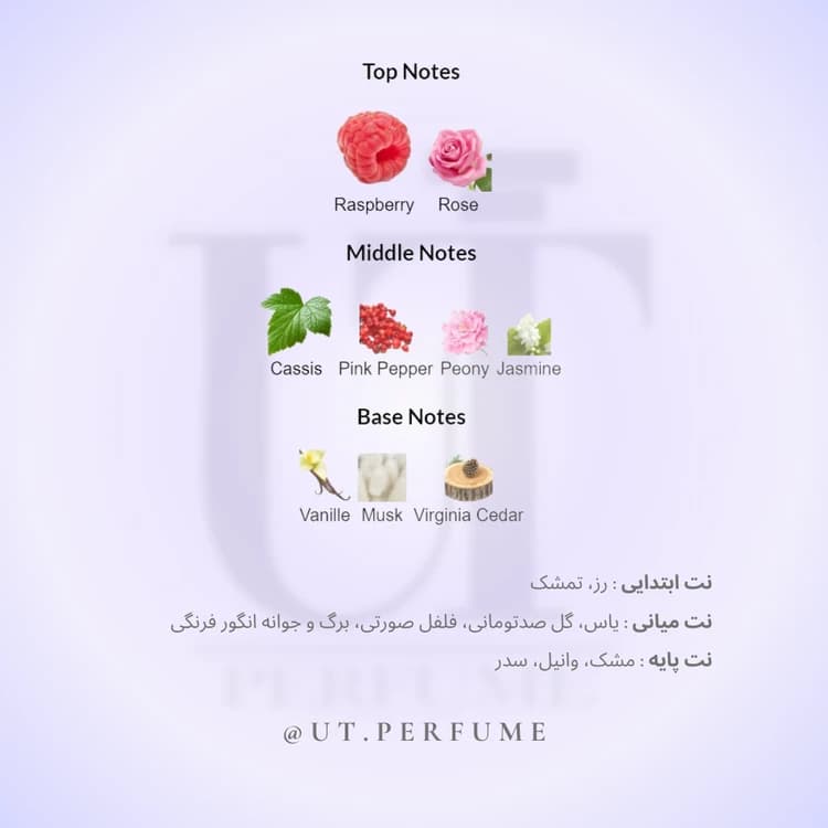 عطر لانکوم ترزور میدنایت رز – Lancome Tresor Midnight Rose زنانه — تصویر ۴