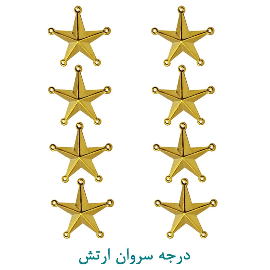 درجه نظامی سروان ارتش فلزی
