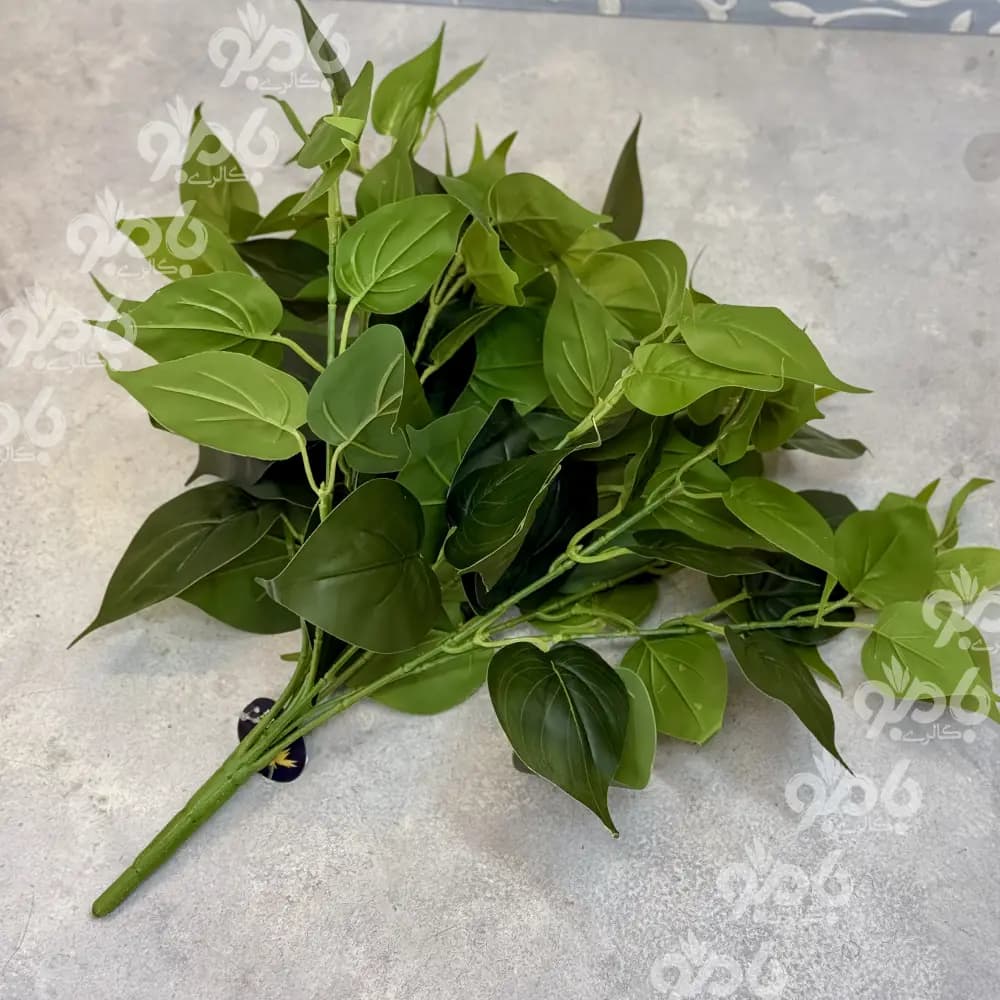 گل بوته ای پتوس 12 بازو کد 00082 — تصویر ۳
