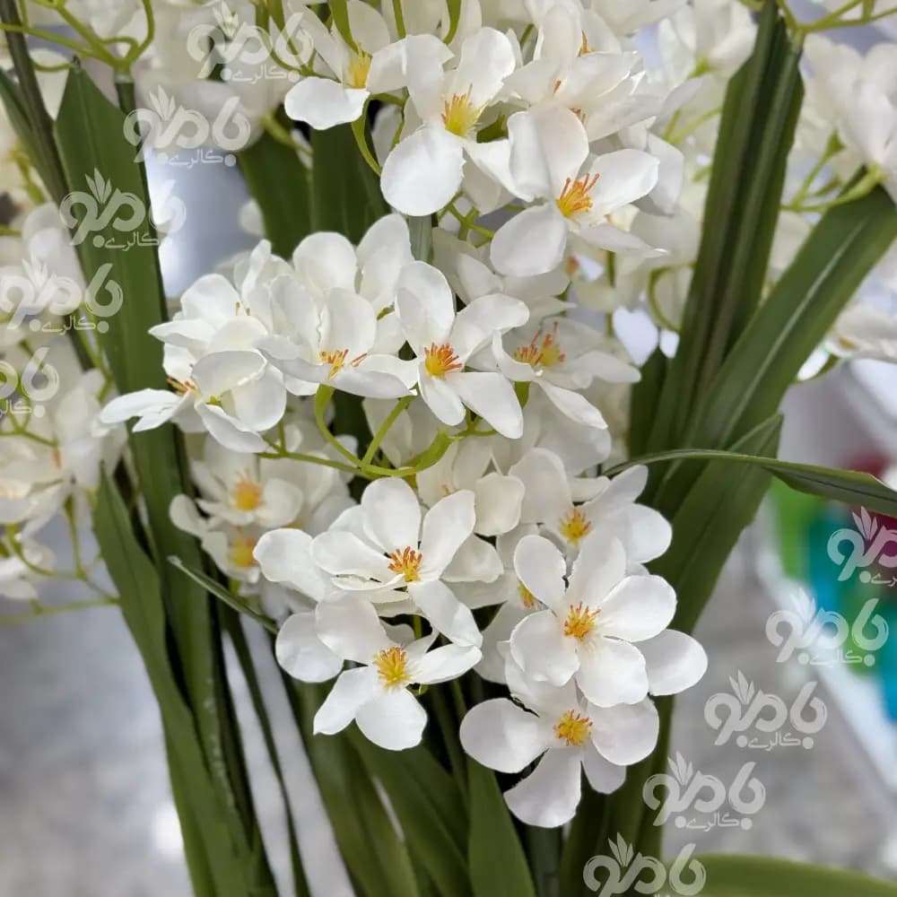 گل بلند شکوفه یاس کد 1018 — تصویر ۳