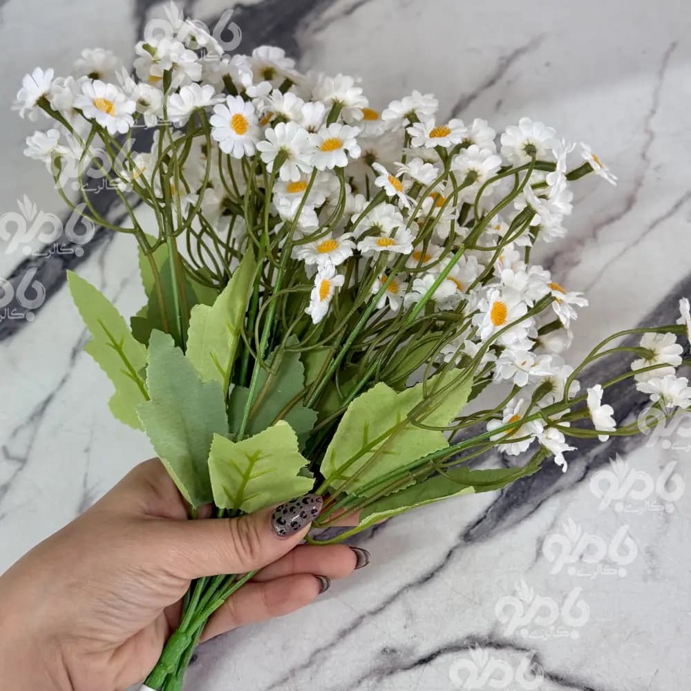 گل بوته ای بابونه ریز کد3010