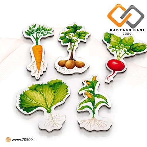 آموزش انواع ریشه ها