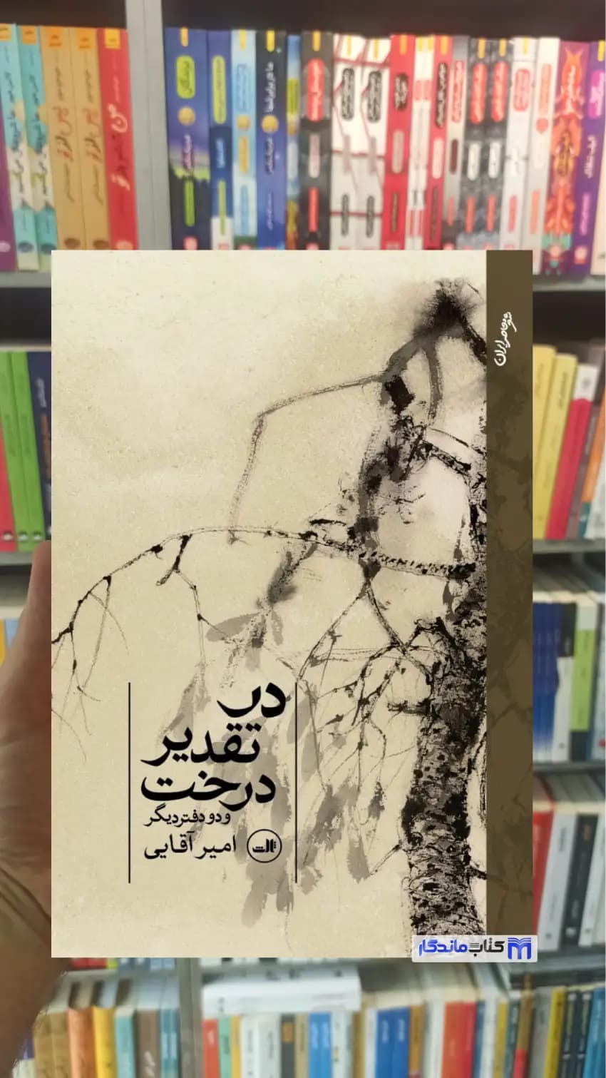 در تقدیر درخت امیر آقایی ثالث