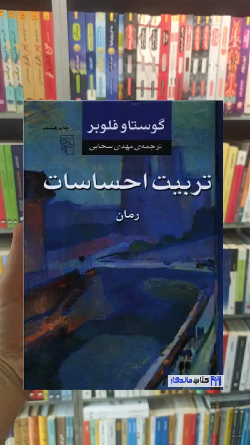 تربیت احساسات گوستاو فلوبر مرکز