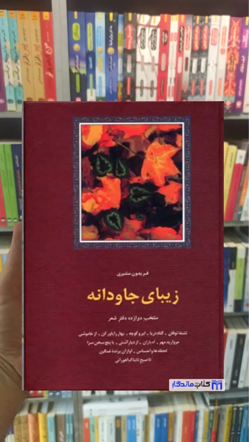 زیبای جاودانه فریدون مشیری سخن