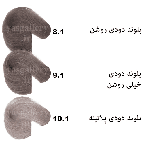 رنگ مو بیول بلوند دودی روشن (8.1) Light Ash Blonde BIOL — تصویر ۲