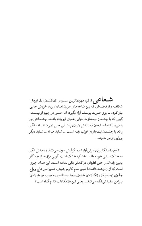 آسمان آبی شب — تصویر ۳