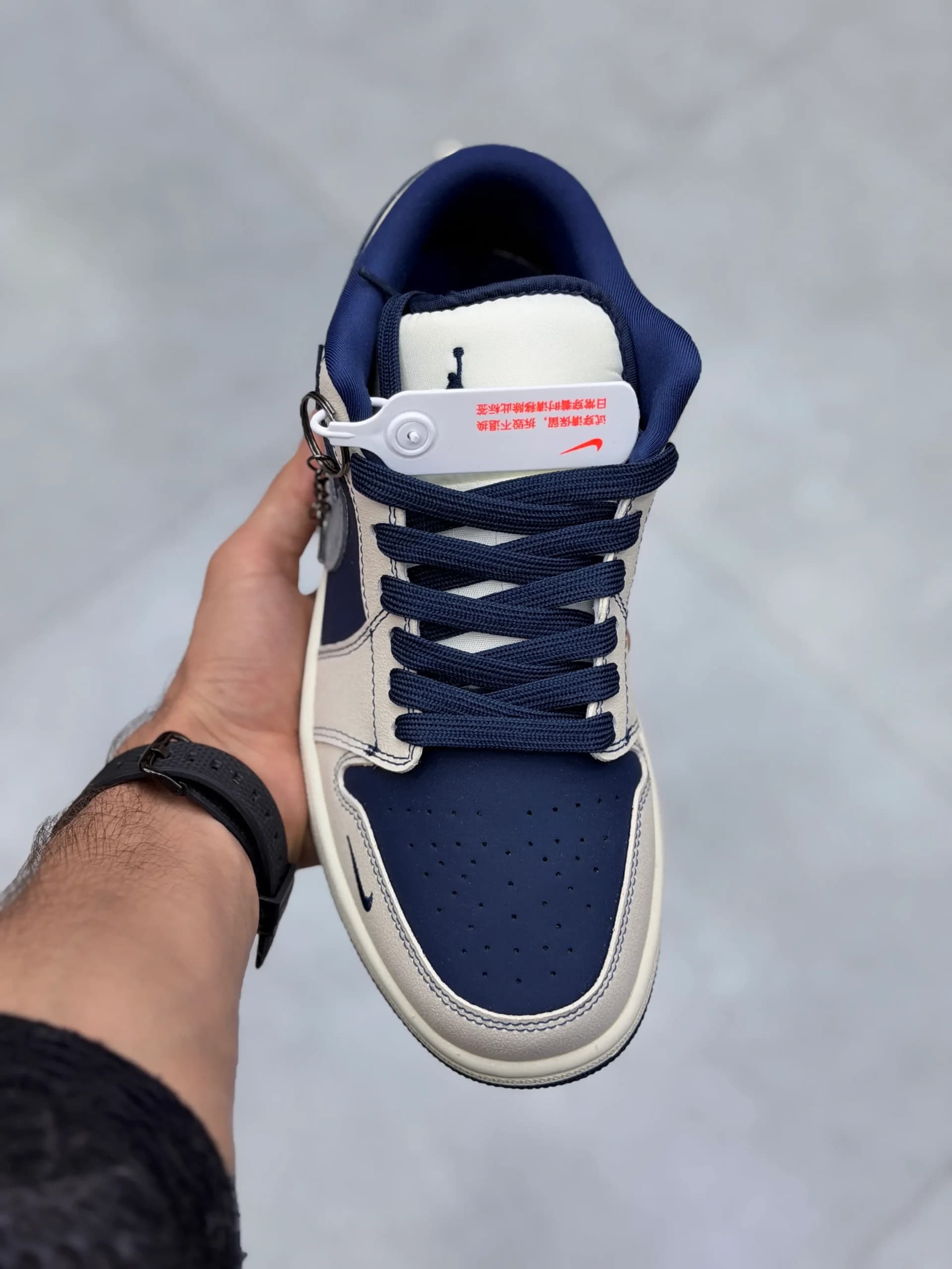 جردن وان لو دیور Air Jordan 1 Dior — تصویر ۳