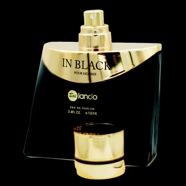 ادو پرفیوم مردانه بایلندو مدل این بلک in Black حجم 100 میلی لیتر — تصویر ۴