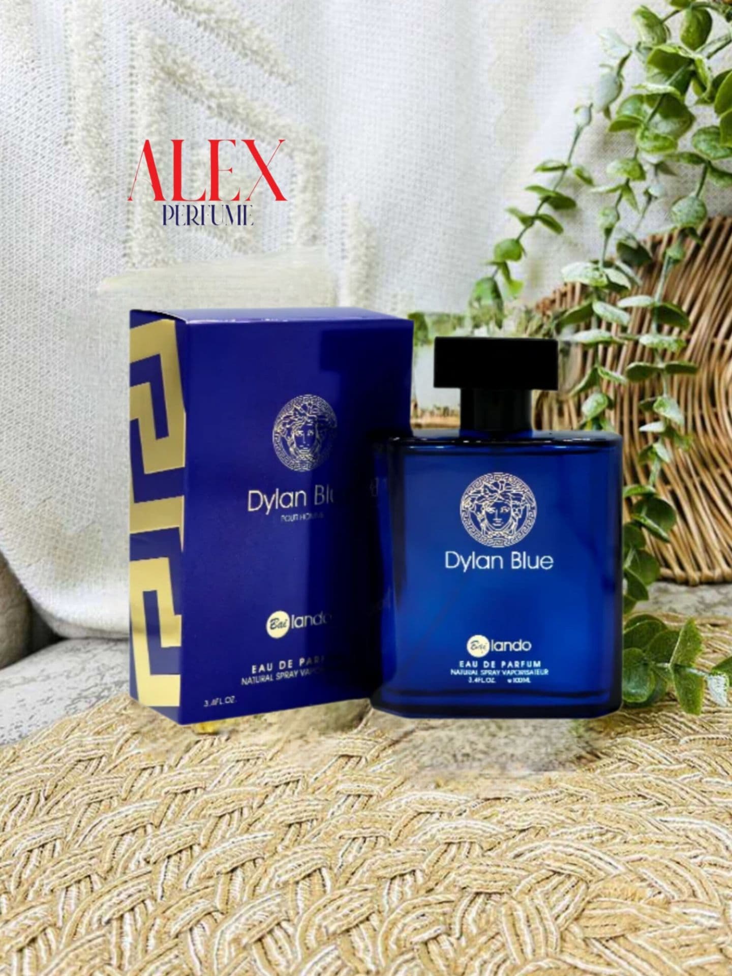 ادو پرفیوم مردانه بایلندو مدل دیلان بلو Dylan Blue حجم 100 میلی لیتر — تصویر ۵
