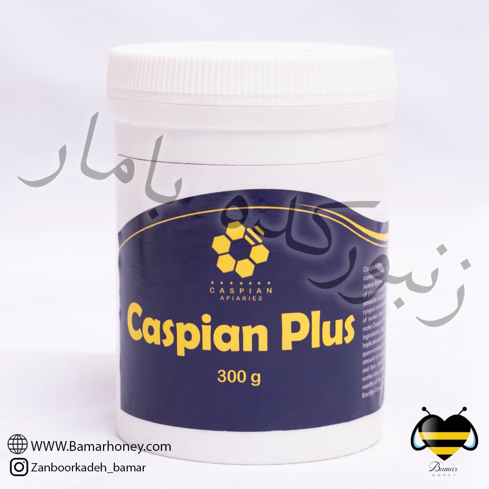 کاسپین پلاس