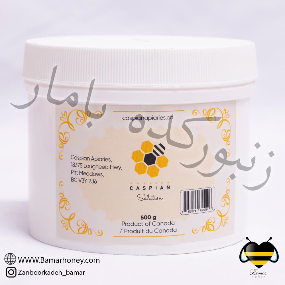 کاسپین سلوشن