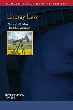 و دانلود نسخه کامل کتاب زبان اصلی Energy Law (Concepts and Insights) PDF | دانلود کتاب خارجی