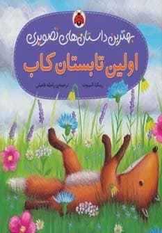 اولین تابستان کاب (بهترین داستان های تصویری)،(گلاسه،منگنه ای،شمیز،خشتی بزرگ،شهر قلم)