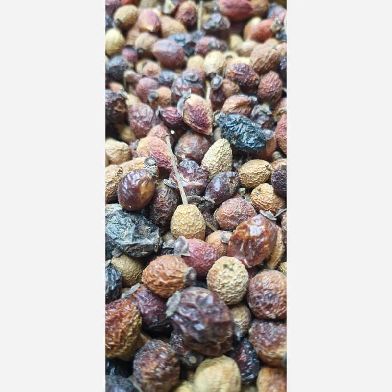 میوه نسترن 75 گرم