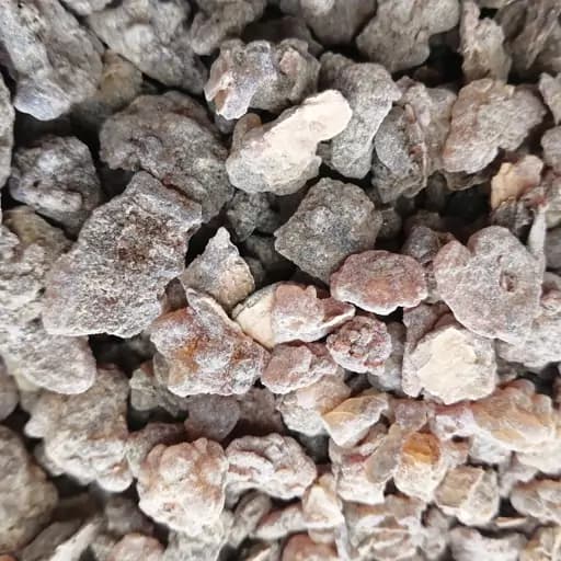 میعه یابسه 1گرمی — تصویر ۳