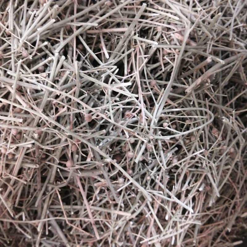 مخلصه یک سیر — تصویر ۲
