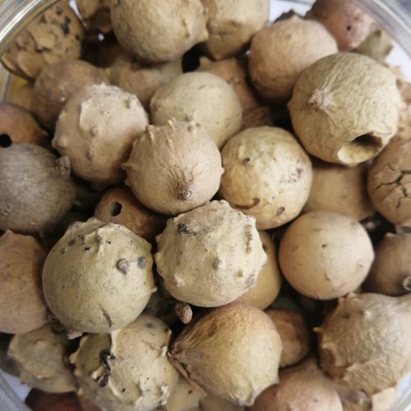 مازو 75 گرم