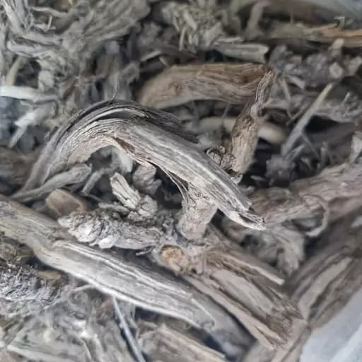 لوف یا باباادم — تصویر ۲