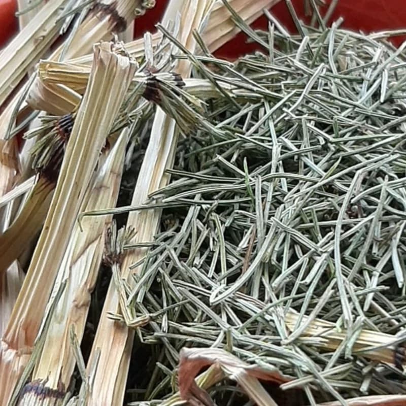 گیاه دم اسب (50گرم) — تصویر ۲