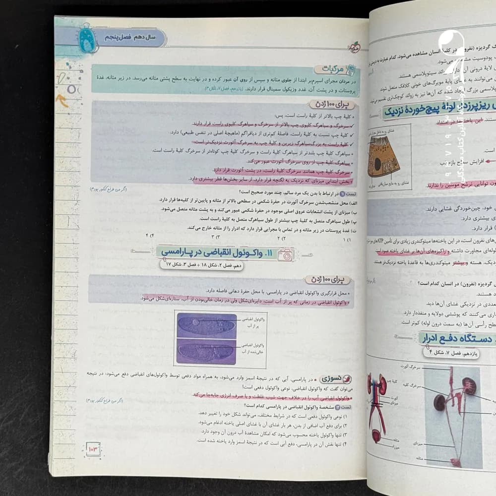 کتاب شکل آزمون زیست شناسی تصویری موضوعی خیلی سبز (دست دوم) — تصویر ۲