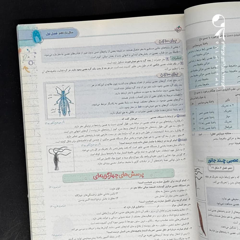 کتاب شکل آزمون زیست شناسی تصویری موضوعی خیلی سبز (دست دوم) — تصویر ۳