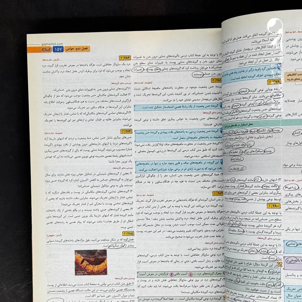 کتاب زیست شناسی یازدهم میکرو گاج (دست دوم) — تصویر ۳
