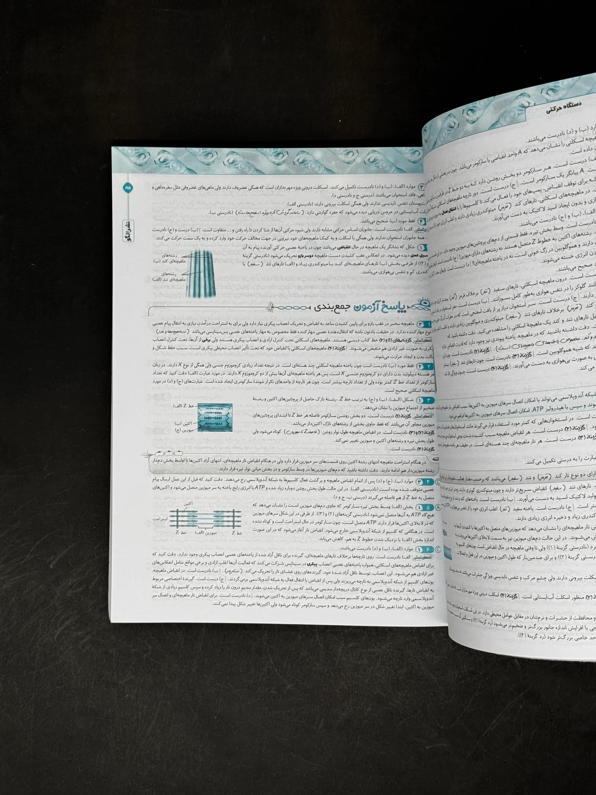 کتاب زیست شناسی یازدهم الگو (دست دوم) — تصویر ۳