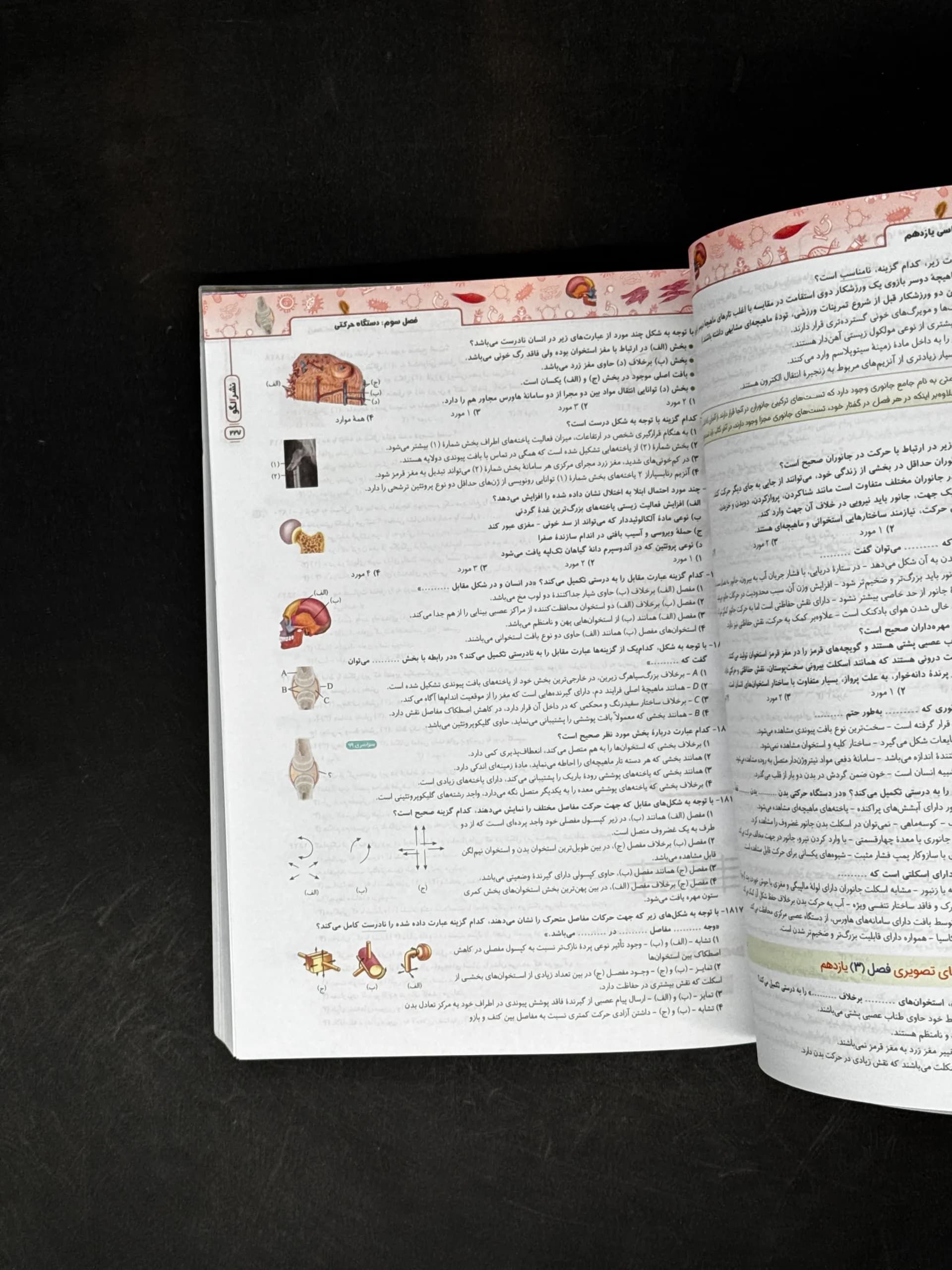 کتاب زیست شناسی جامع کنکور نشر الگو (دست دوم) — تصویر ۲