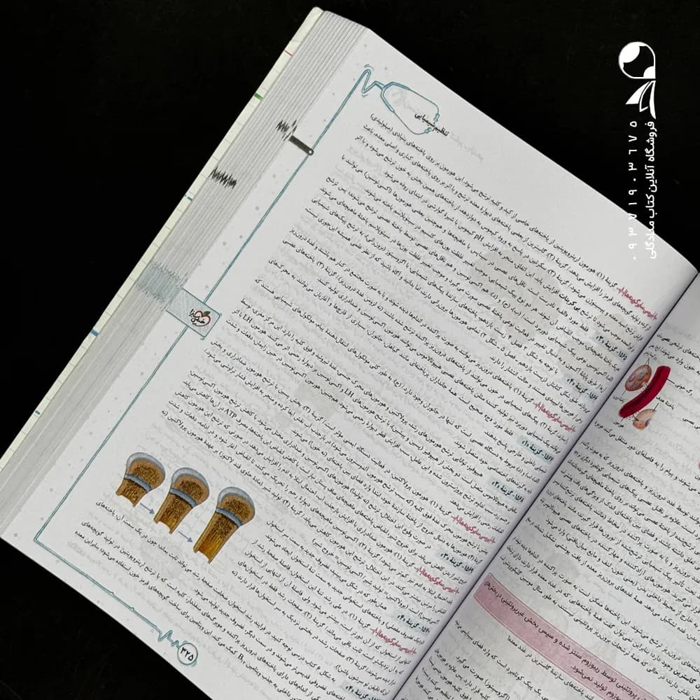 کتاب زیست شناسی جامع کنکور تست خیلی سبز (جلد درسنامه) (دست دوم) — تصویر ۲