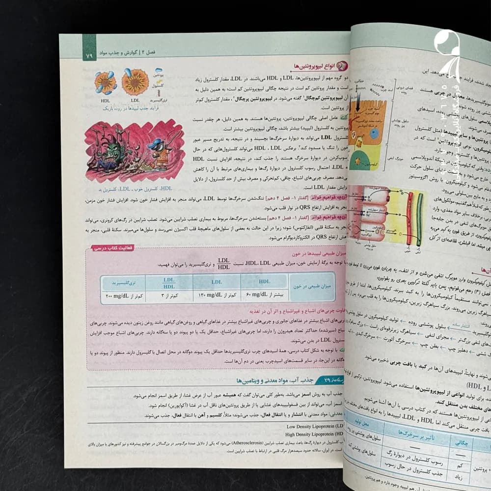 کتاب درسنامه زیست شناسی کامل کنکور میکرو طلایی (دست دوم) — تصویر ۲