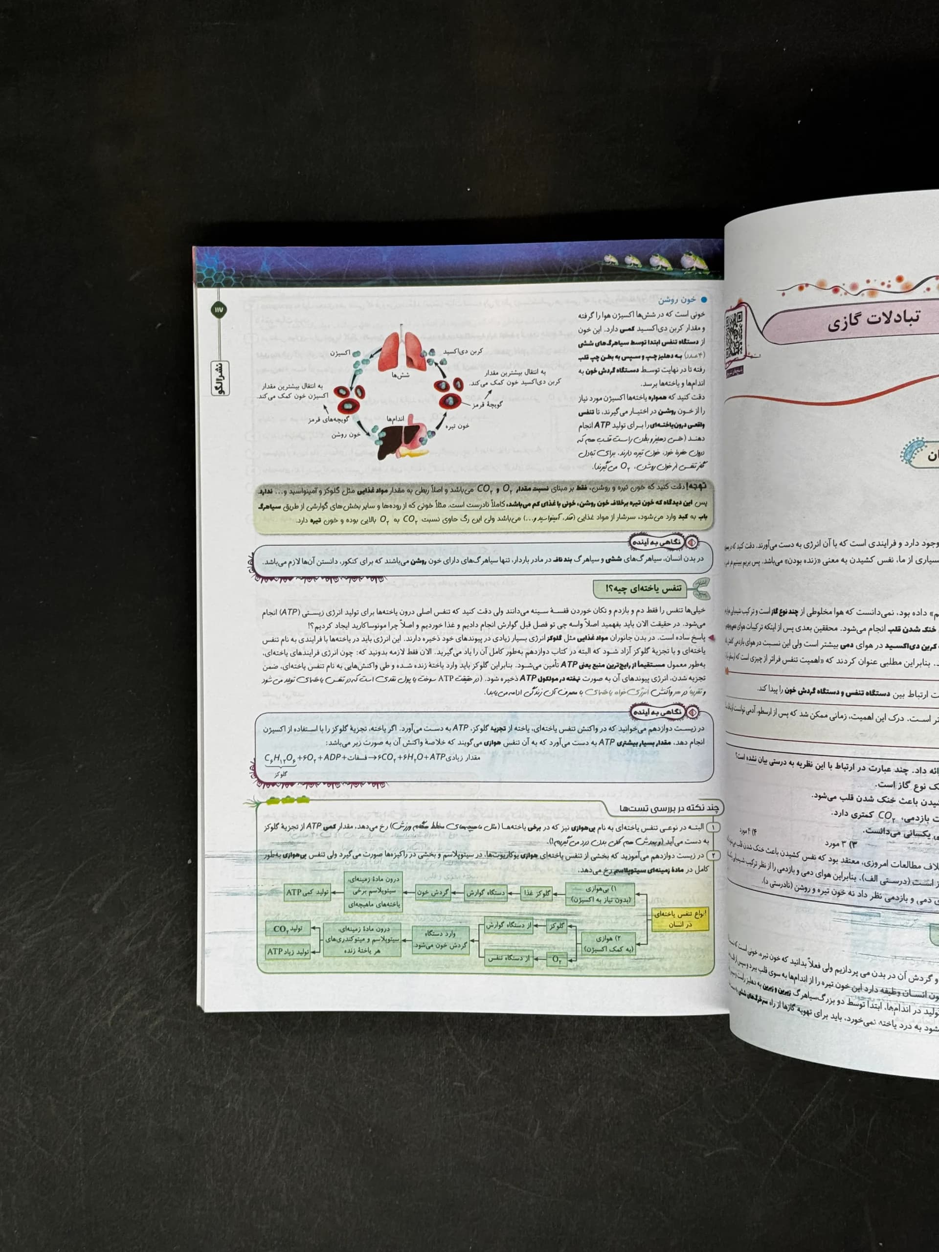 کتاب جامع زیست شناسی دهم برآیند الگو (دست دوم) — تصویر ۲