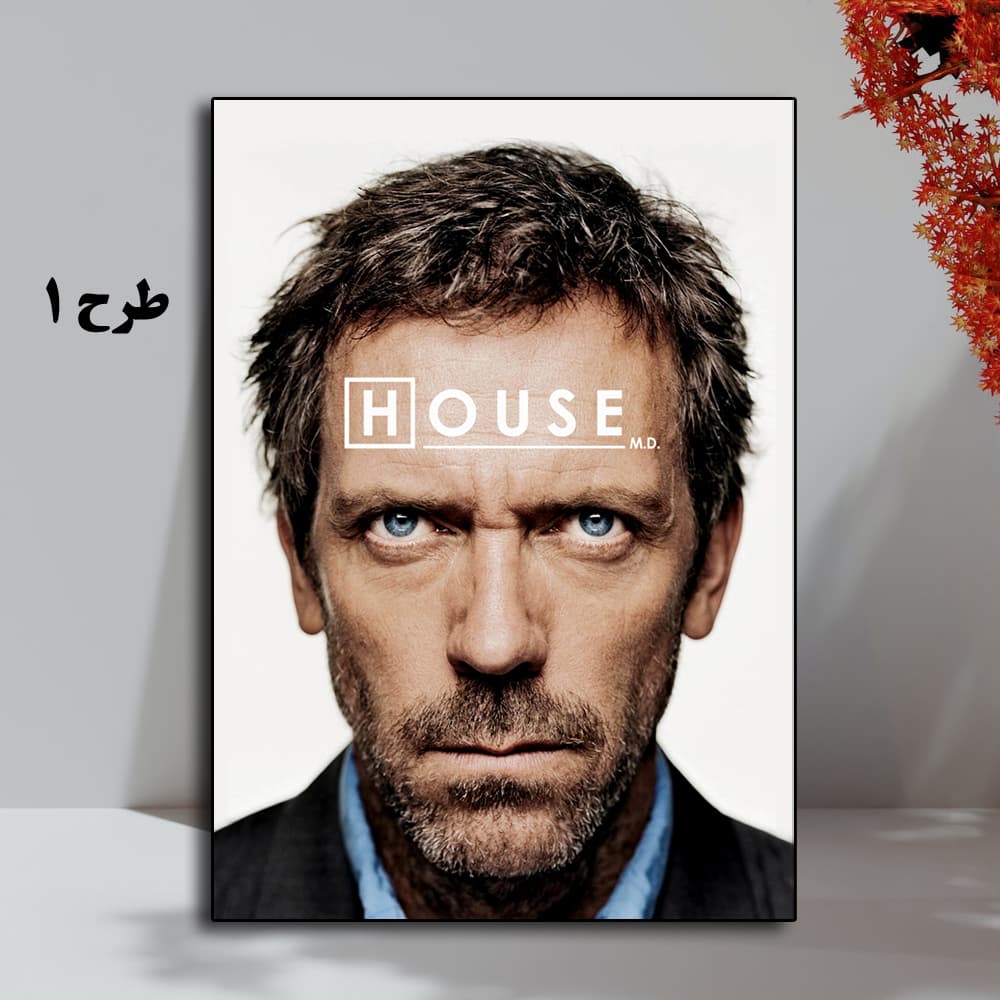 تابلو سریال House M.D