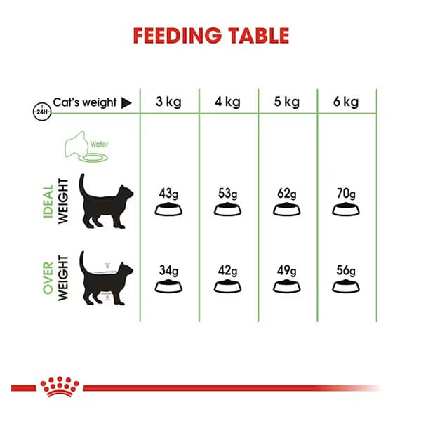 غذای خشک گربه رویال کنین دایجستیو Royal Canin Digestive وزن 2 کیلوگرم — تصویر ۴