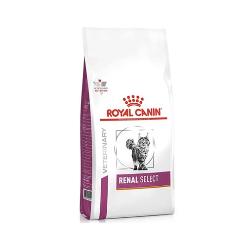 غذای خشک درمانی گربه رویال کنین رنال سلکت Royal Canin Renal Select وزن 2 کیلوگرم