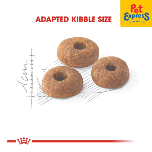 غذای خشک گربه رویال کنین فیت Royal Canin Fit وزن 10 کیلوگرم — تصویر ۳