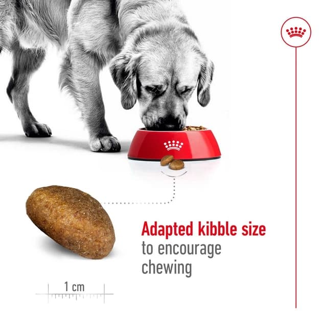 غذای خشک سگ نژاد بزرگ رویال کنین Royal Canin Maxi Adult وزن 4 کیلوگرم — تصویر ۳