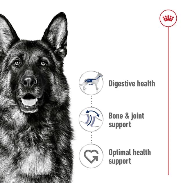 غذای خشک سگ نژاد بزرگ رویال کنین Royal Canin Maxi Adult وزن 4 کیلوگرم — تصویر ۲