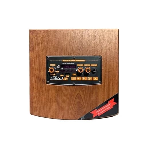 اسپیکر پارتی باکس PODER PD-1010 | میکروفوندار و RGB — تصویر ۵