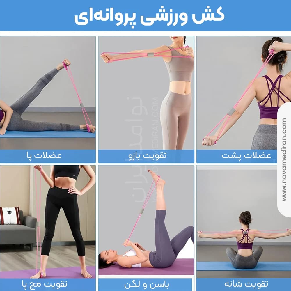 کش ورزشی بدنسازی پروانه ای — تصویر ۵
