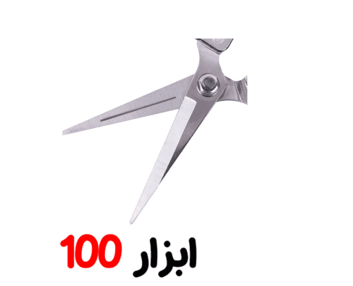 قیچی میوه چین 8 اینچ 3150 رونیکس — تصویر ۳