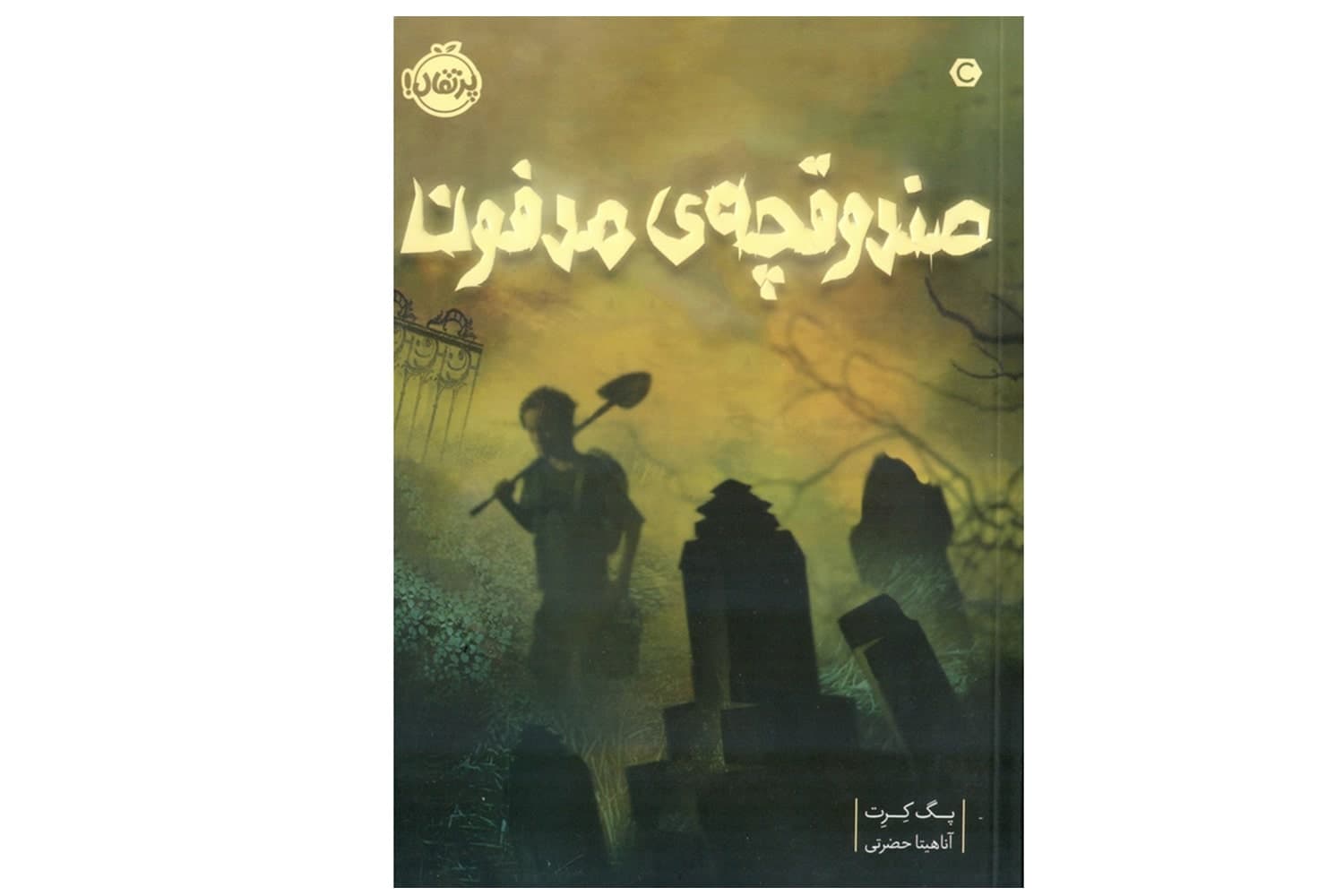 کتاب صندوقچه ی مدفون — تصویر ۵
