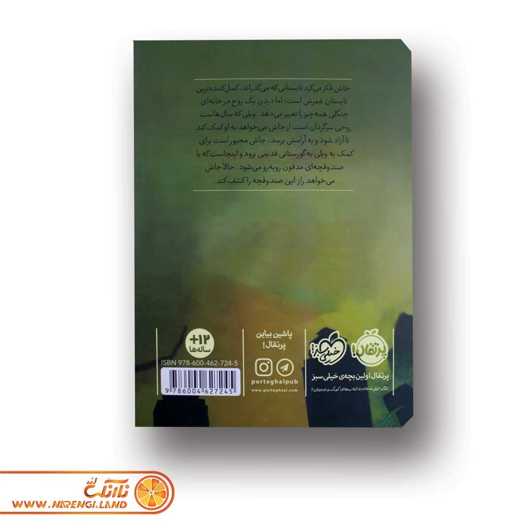 کتاب صندوقچه ی مدفون — تصویر ۴