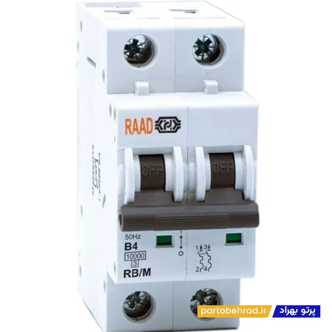 کلید مینیاتوری 2 پل رعد مدل RB/M 2P 4A