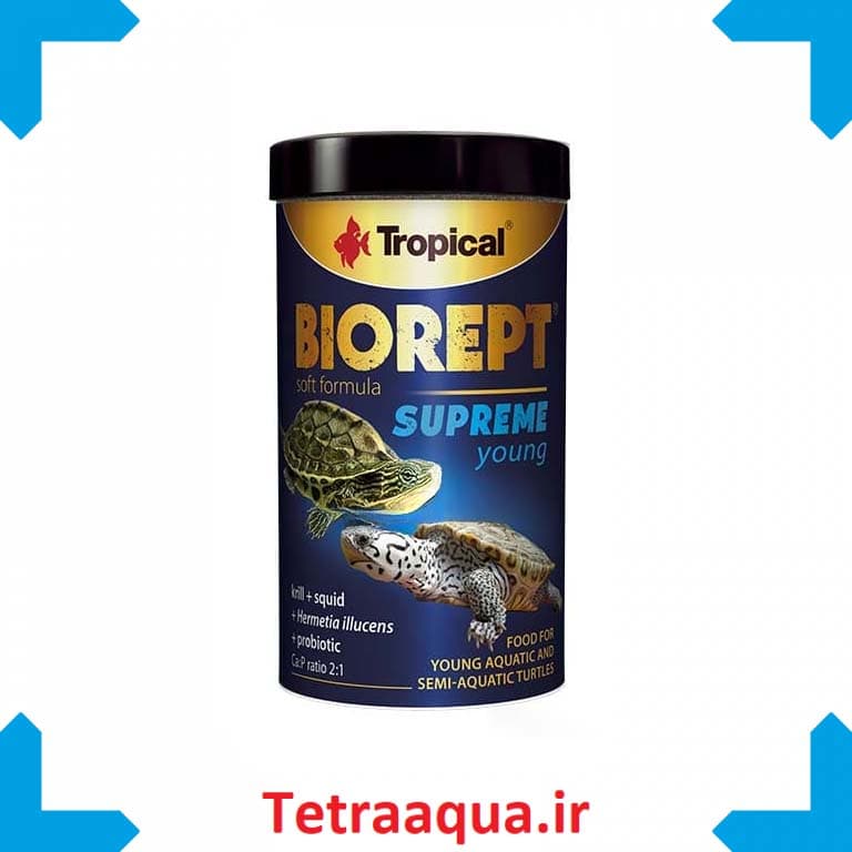 غذای لاک پشت سایز درشت Biorept Supreme Adult 70 g