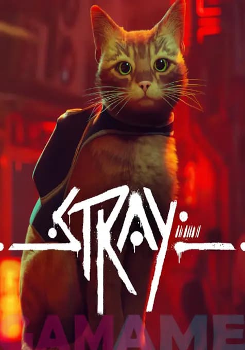 اکانت بازی stray — تصویر ۲
