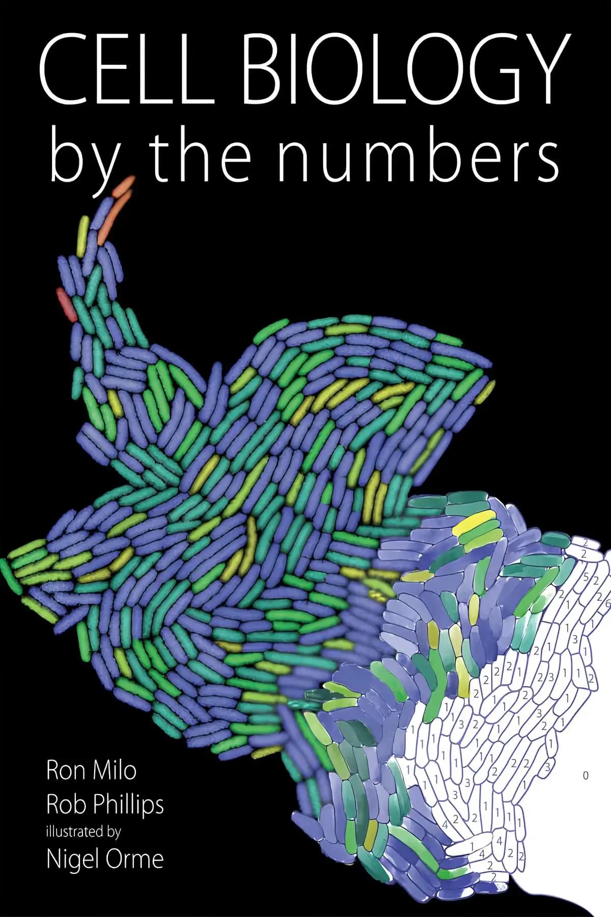 کتاب زیست‌شناسی سلولی بر اساس اعداد (Cell Biology by the Numbers) نسخه انگلیسی PDF | ران میلو و راب فیلیپس