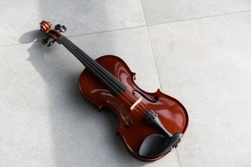 ویولن آکوستیک هافنر Violin Hofner AS-045-V3/4 — تصویر ۴